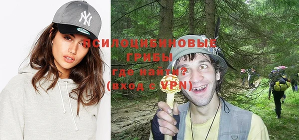 дмт Тобольск