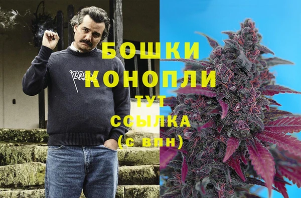 дмт Тобольск