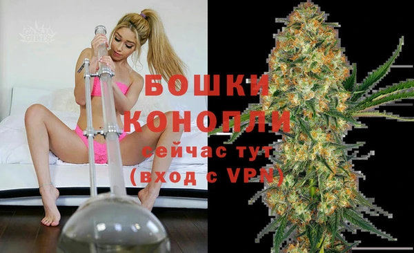 сатива Тихвин