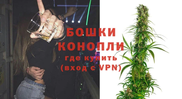 дмт Тобольск