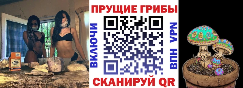 Купить закладки  Искитим  Галлюциногенные грибы мухоморы 